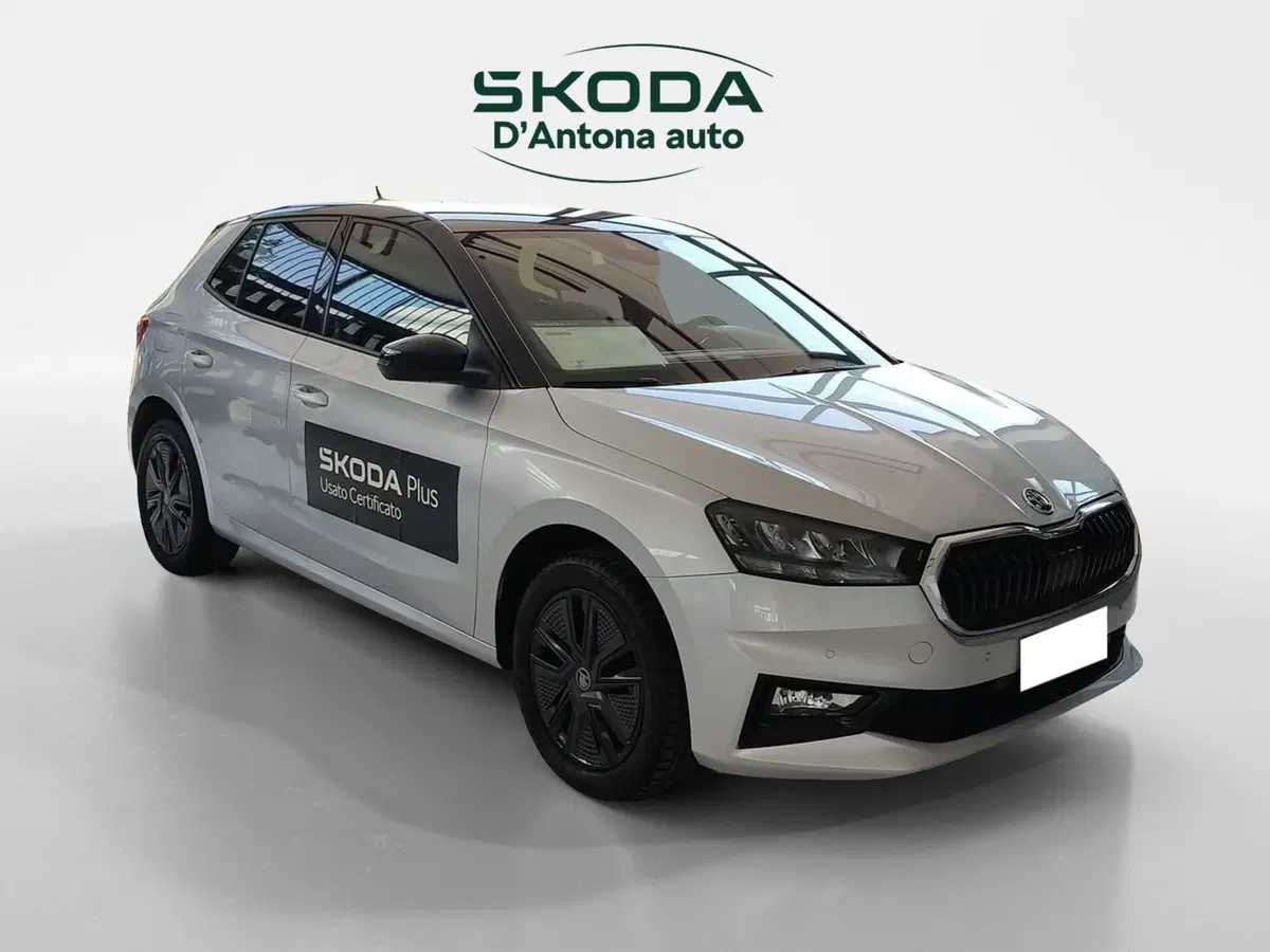 Skoda Fabia usata a Taranto