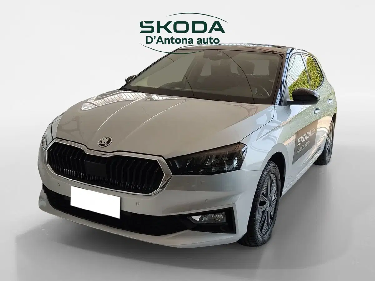 Skoda Fabia usata a Taranto (4)