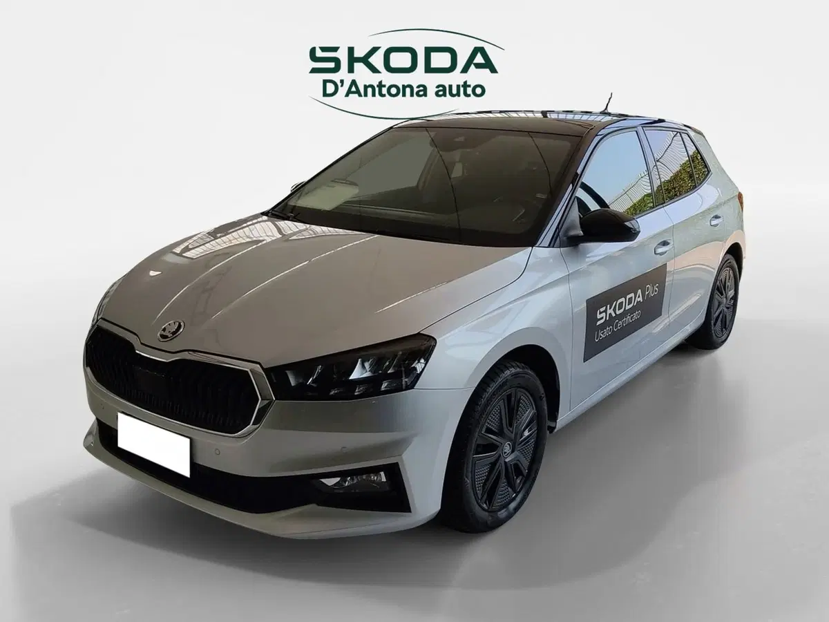 Skoda Fabia usata a Taranto (5)