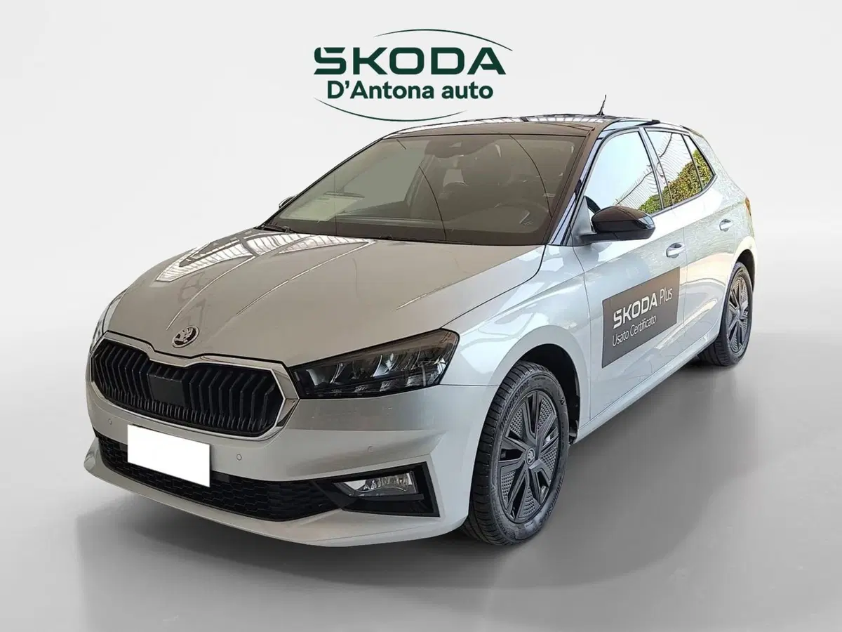 Skoda Fabia usata a Taranto (6)