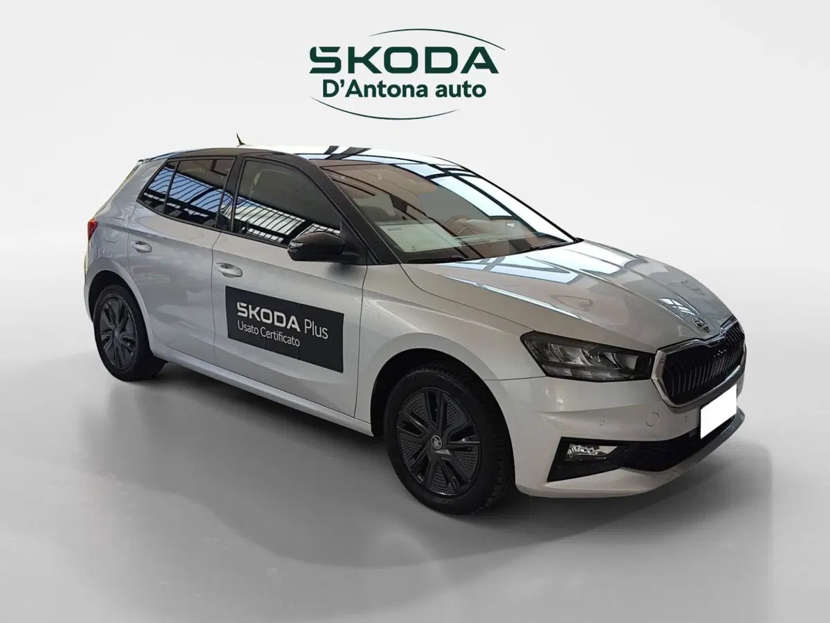 Skoda Fabia usata a Taranto (7)