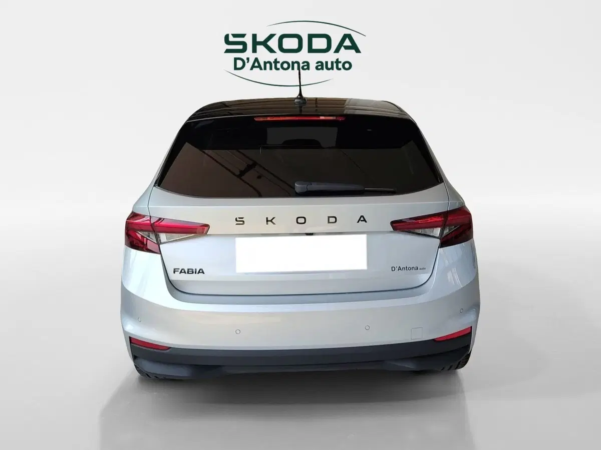 Skoda Fabia usata a Taranto (8)