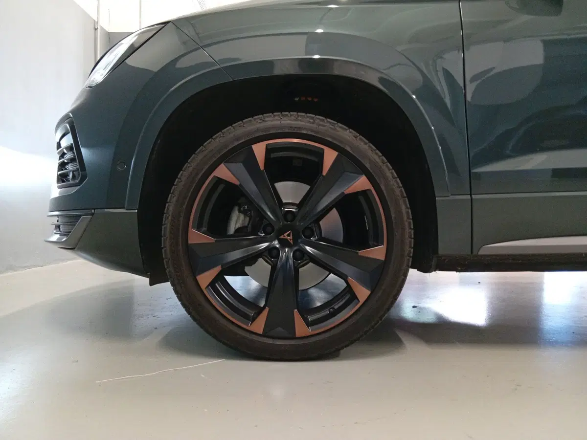 Cupra Ateca usata a Varese (8)