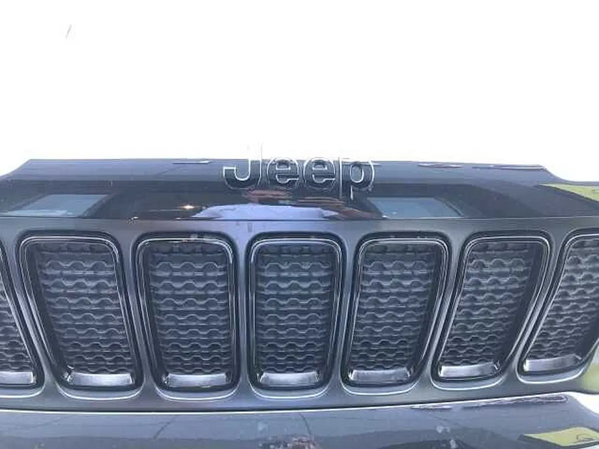 Jeep Renegade usata a Treviso (18)