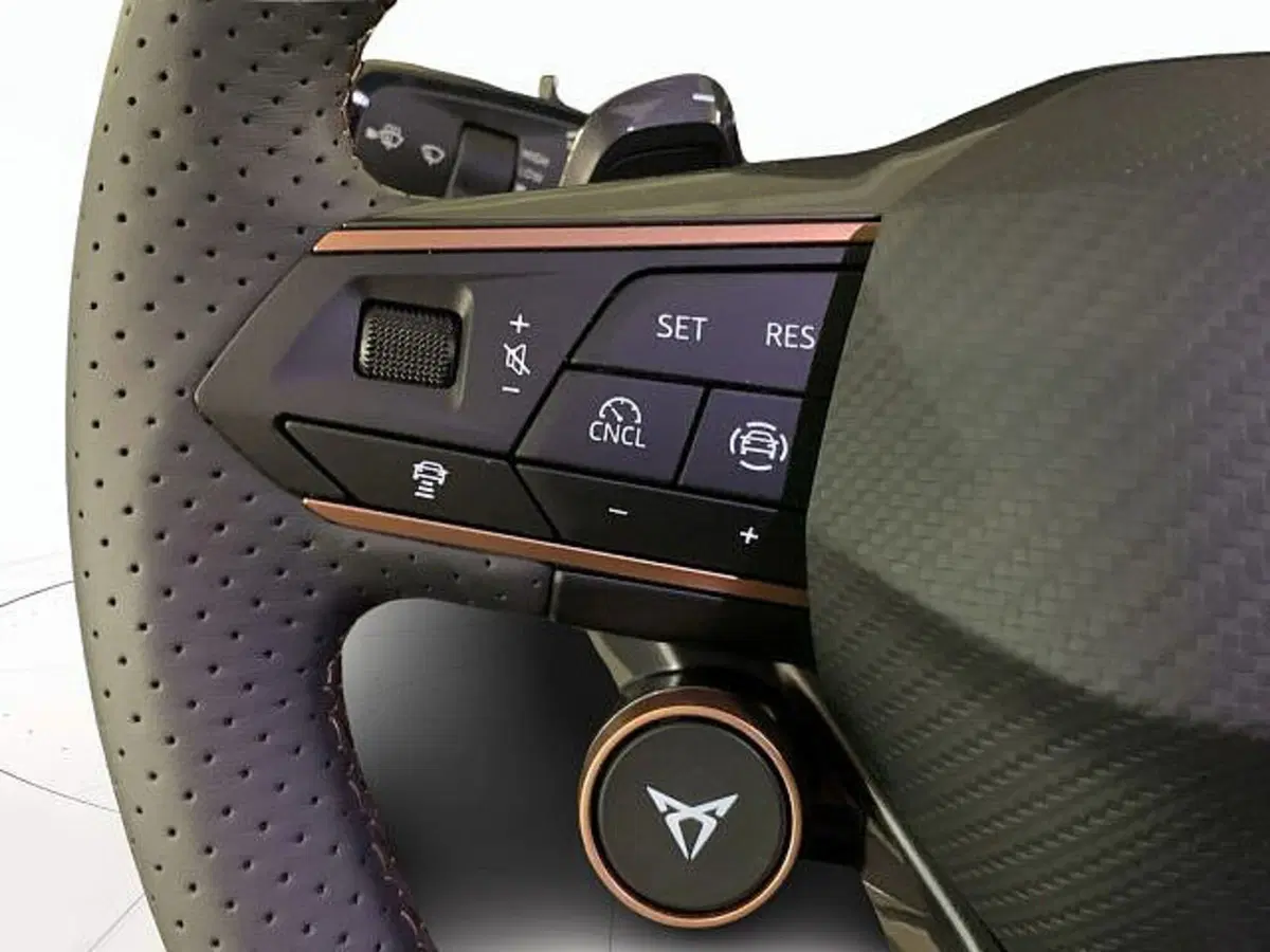 Cupra Terramar nuova a Vicenza (11)