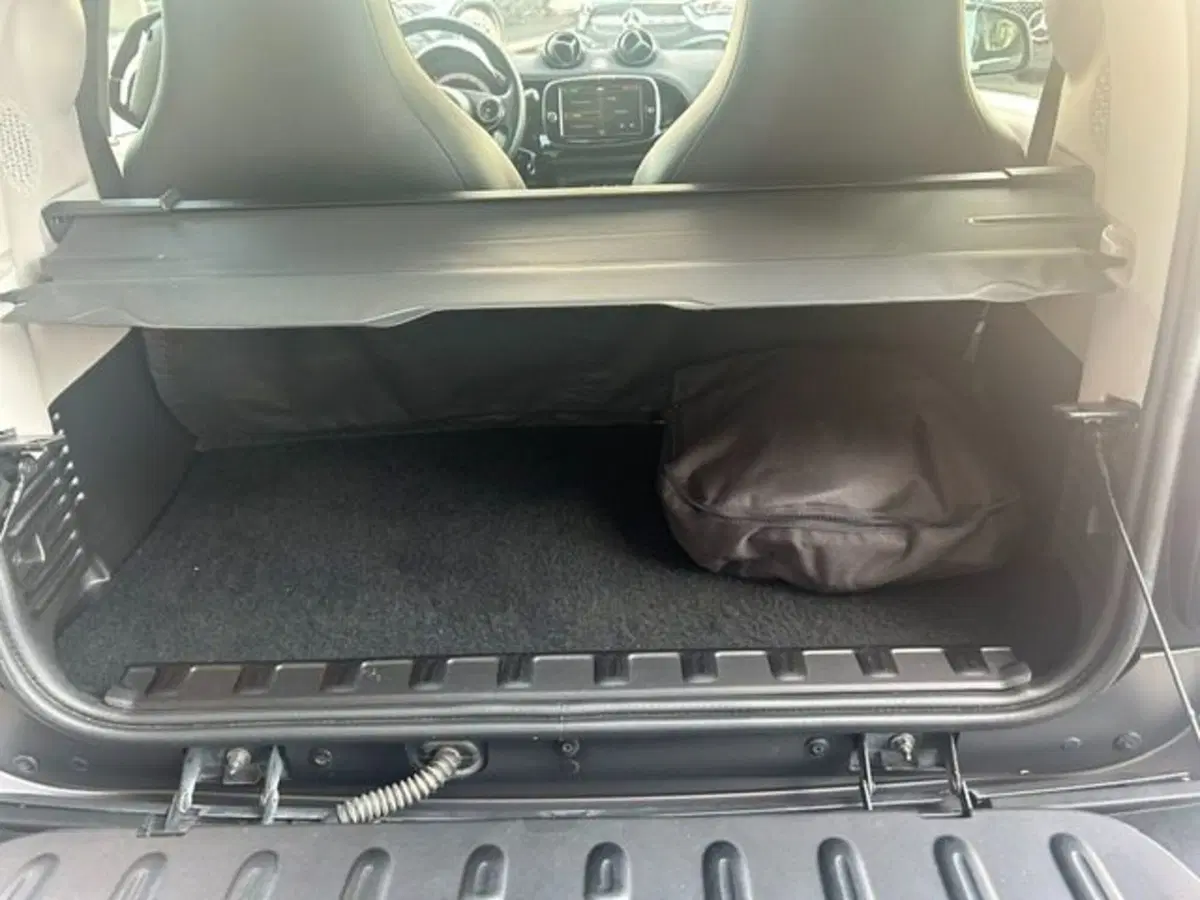 smart Fortwo usata a Potenza (14)