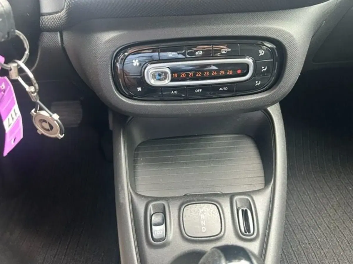 smart Fortwo usata a Potenza (14)