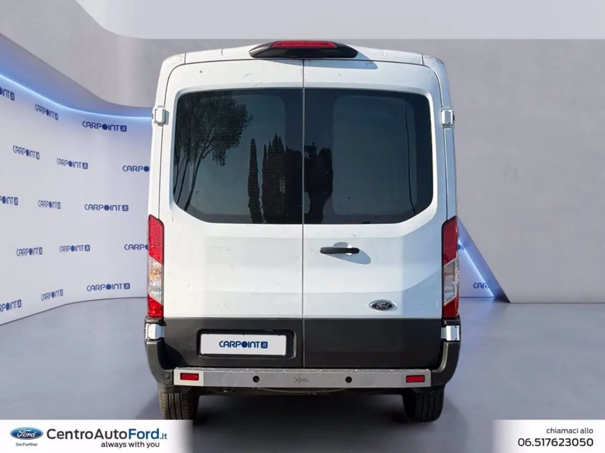 Ford Transit Furgone usata a Roma (4)