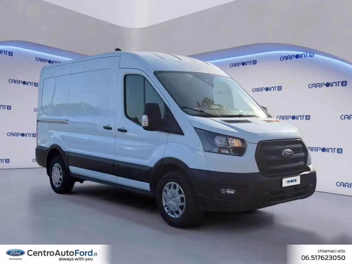 Ford Transit Furgone usata a Roma (7)