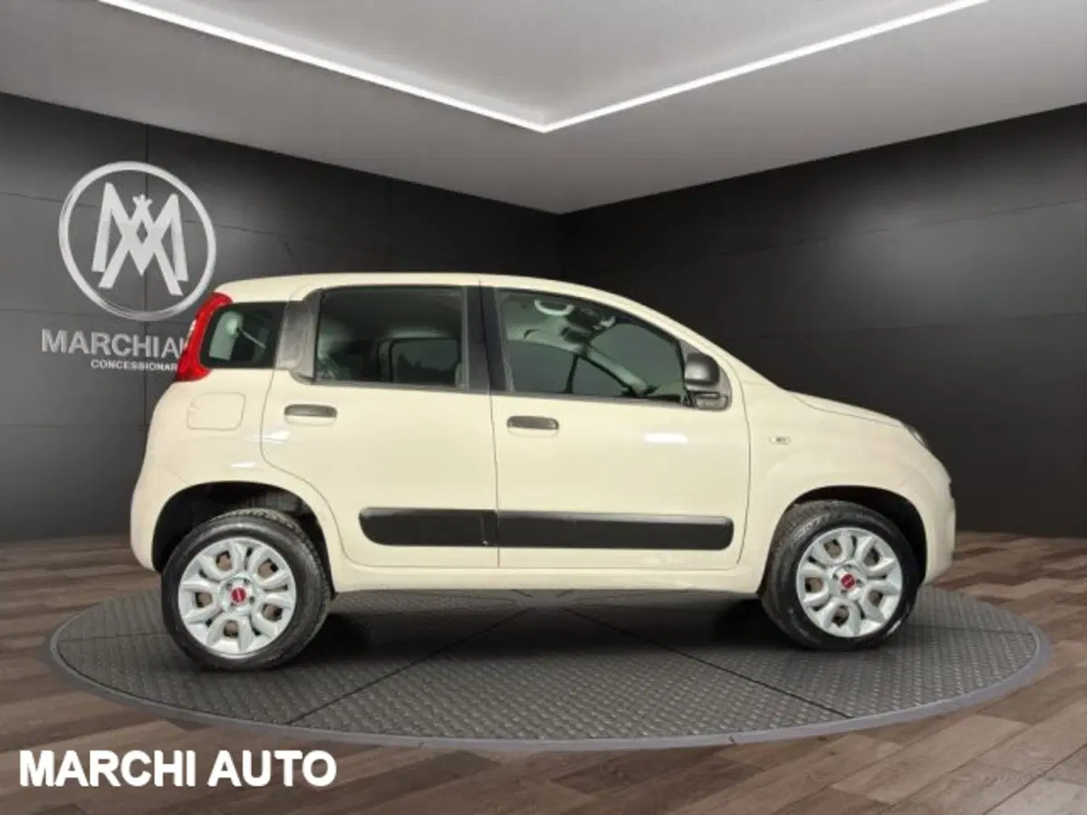 Fiat Panda usata a Perugia (4)
