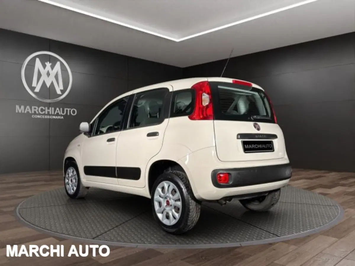 Fiat Panda usata a Perugia (7)