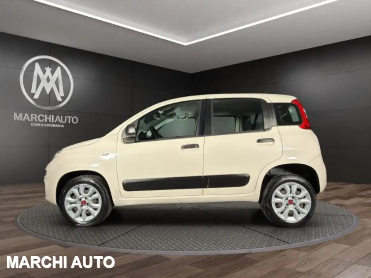 Fiat Panda usata a Perugia (8)