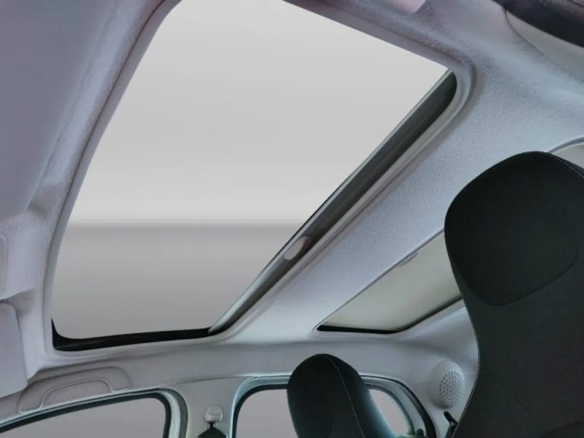 smart forfour usata a Teramo (17)
