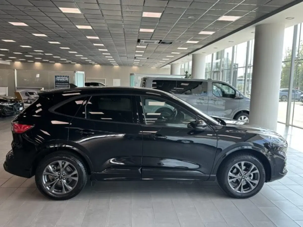 Ford Kuga usata a Cuneo (8)