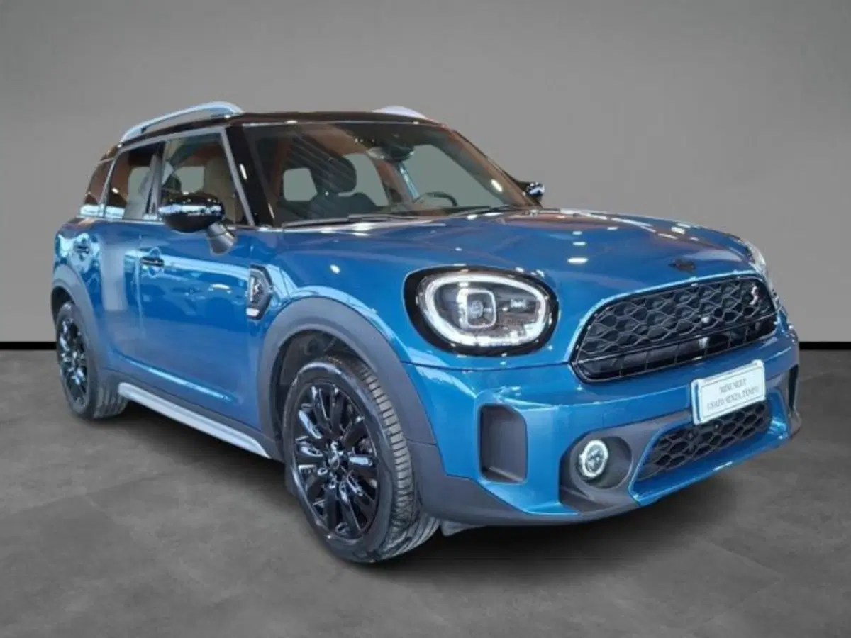 MINI Mini Countryman usata a Verona (15)
