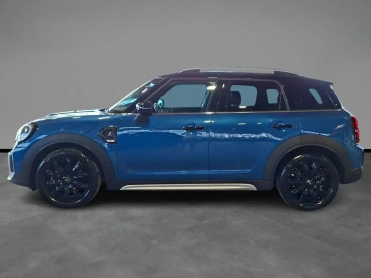 MINI Mini Countryman usata a Verona (3)