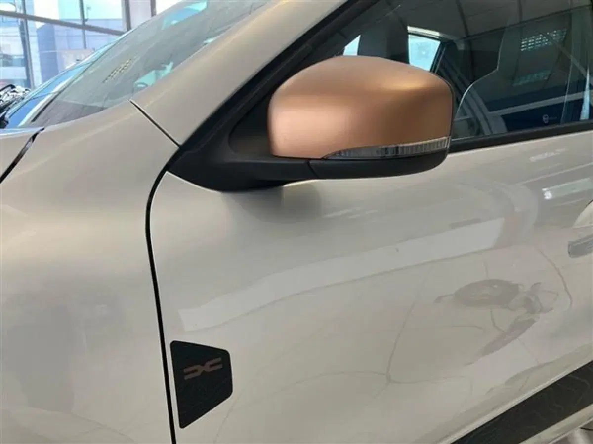 Dacia Spring usata a Como (20)
