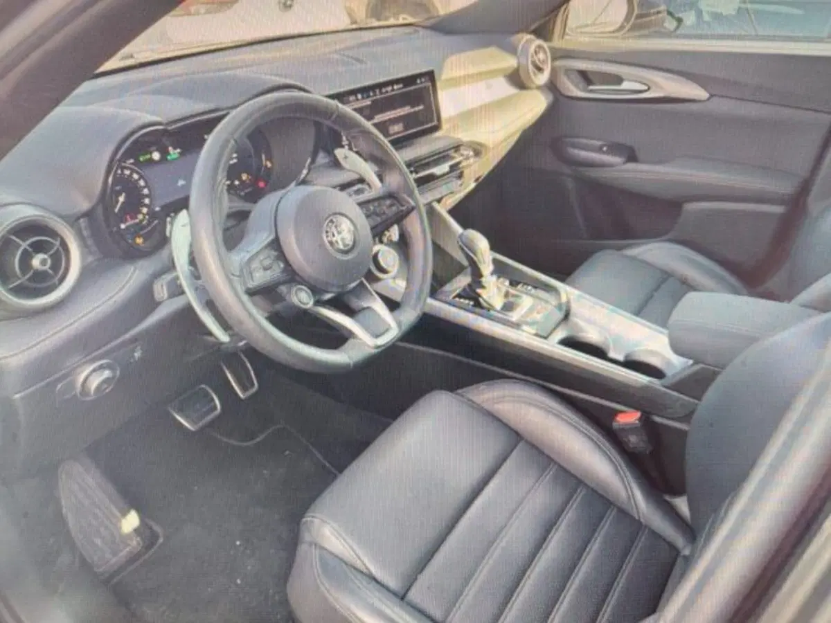 Alfa Romeo Tonale usata a Forlì-Cesena (3)