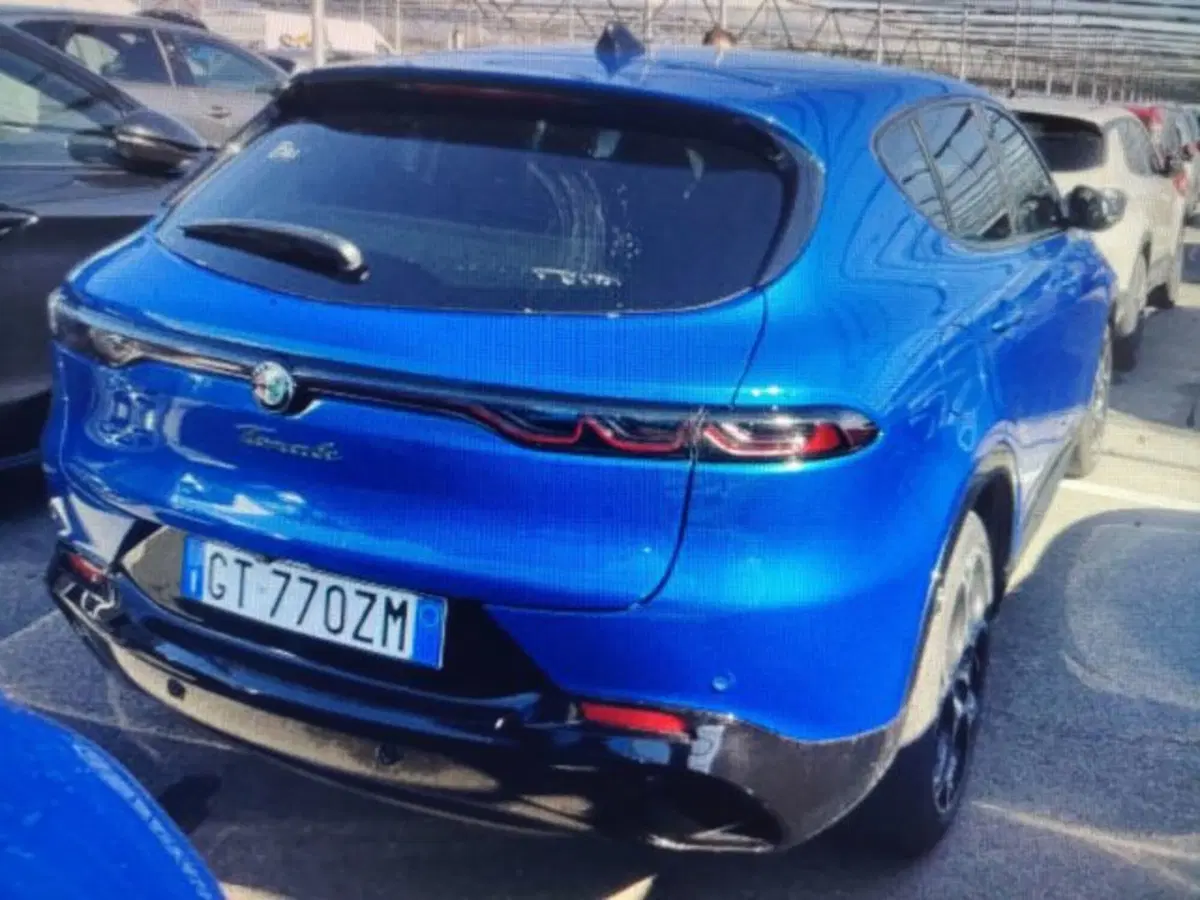 Alfa Romeo Tonale usata a Forlì-Cesena (3)