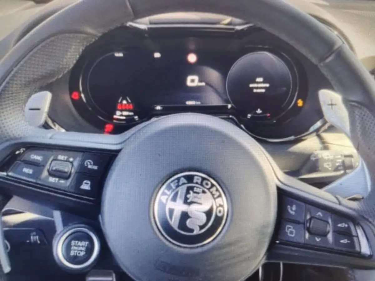 Alfa Romeo Tonale usata a Forlì-Cesena (6)