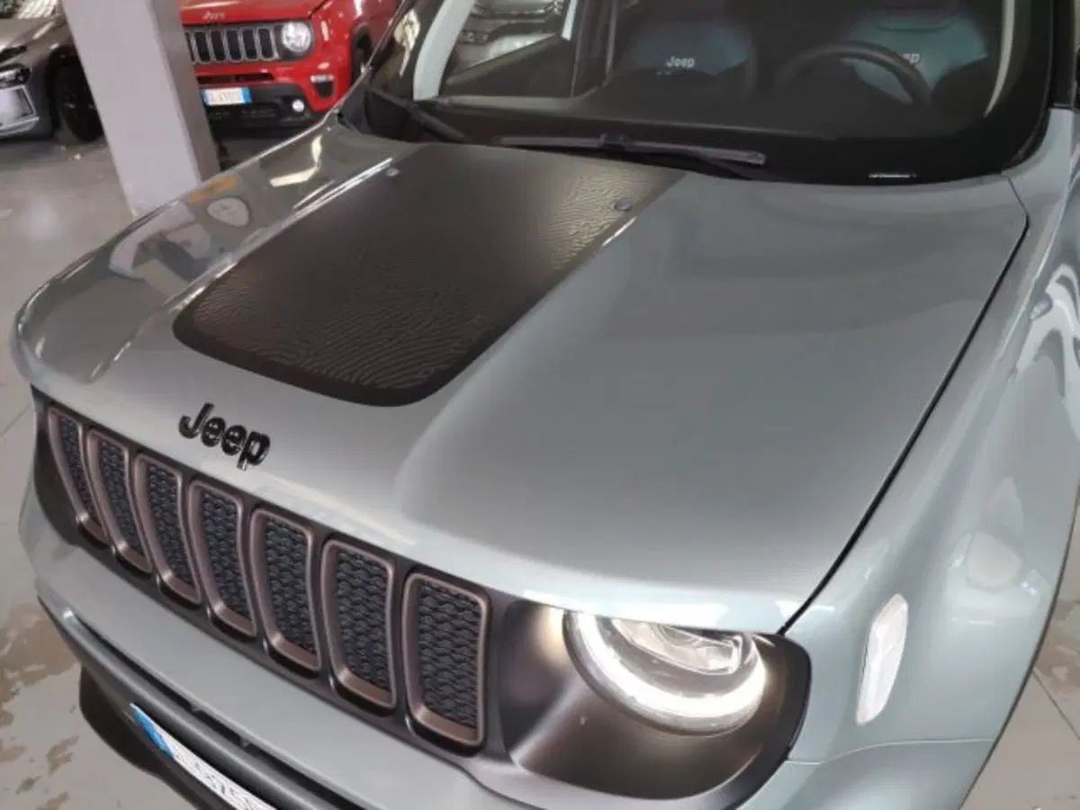 Jeep Renegade usata a Forlì-Cesena (13)