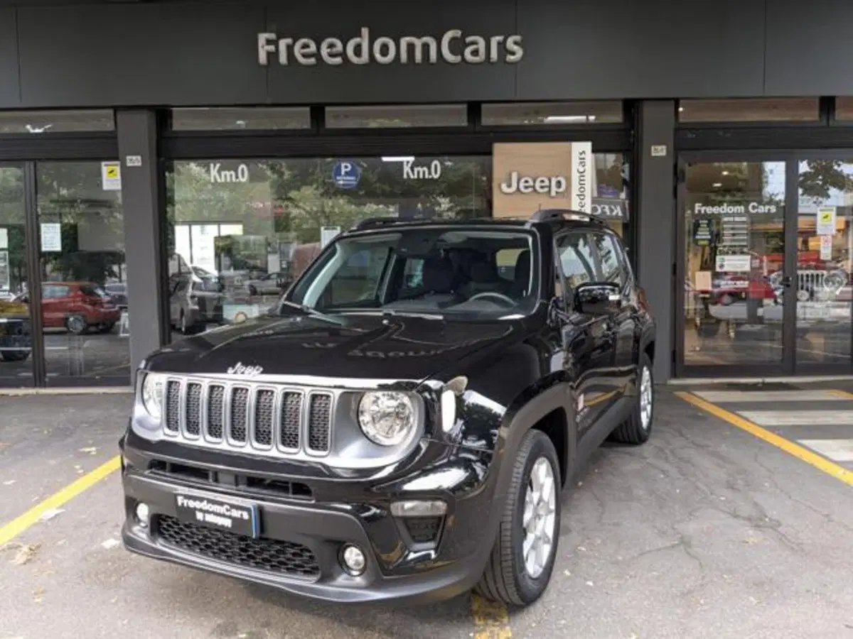 Jeep Renegade usata a Parma (2)