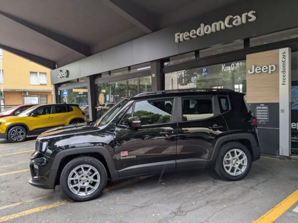 Jeep Renegade usata a Parma (4)