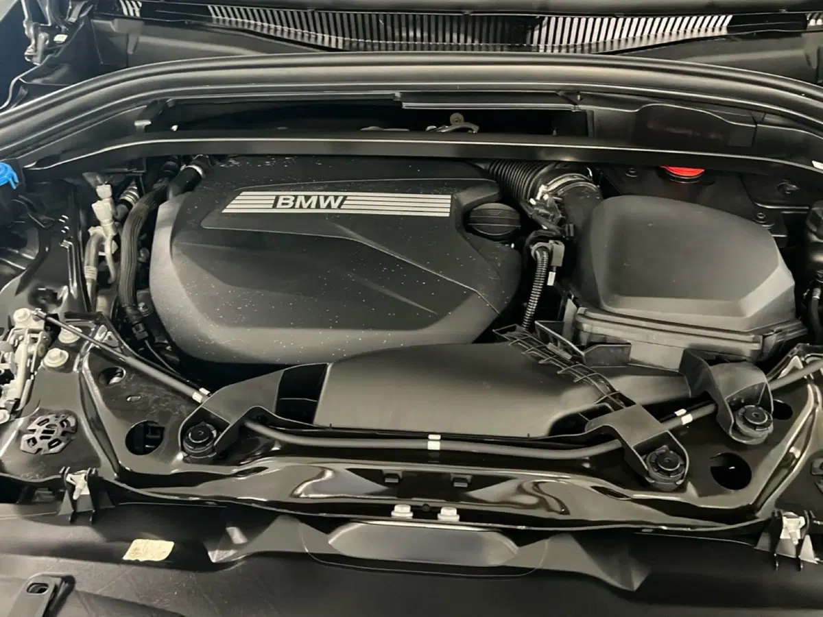 BMW X2 usata a Torino (16)