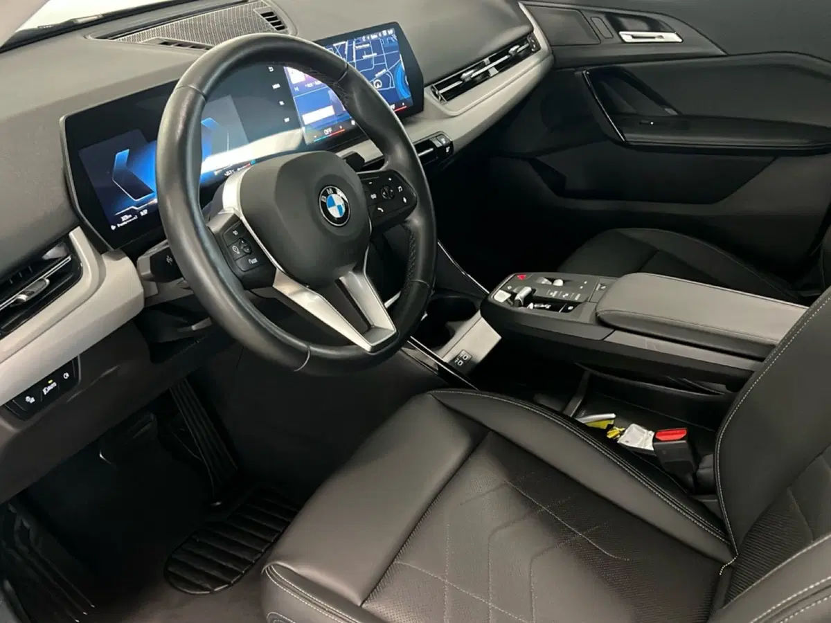 BMW X2 usata a Torino (17)