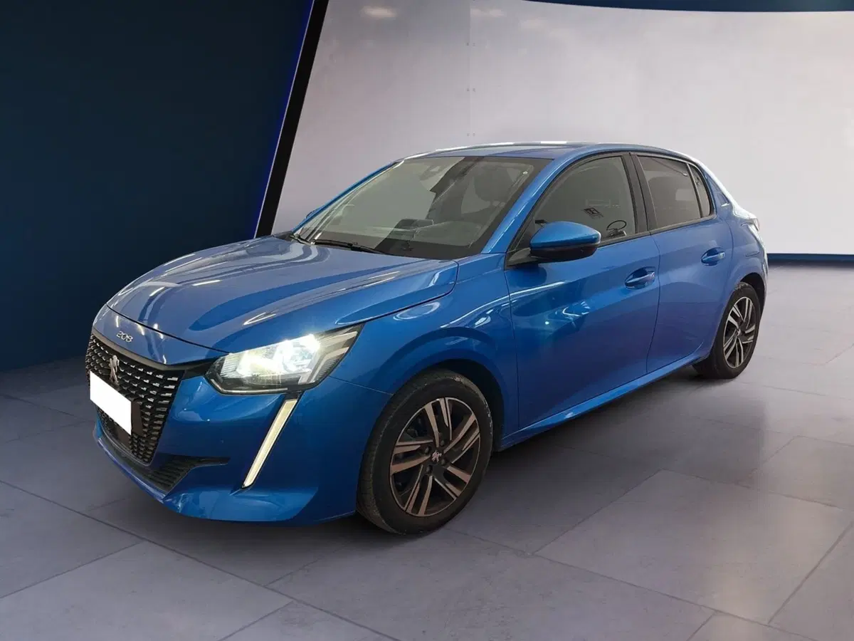 Peugeot 208 usata a Torino (2)