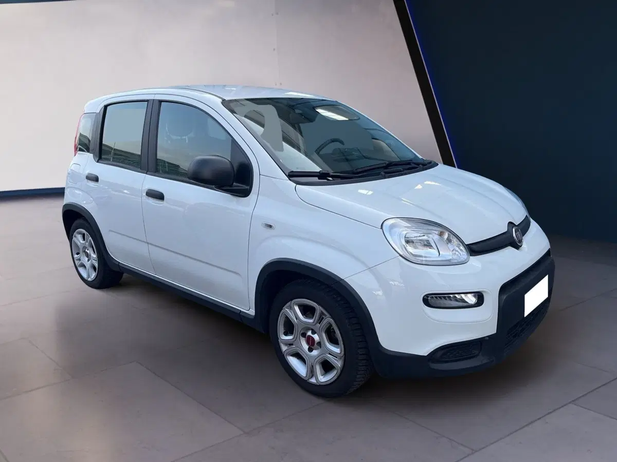Fiat Panda usata a Torino (2)