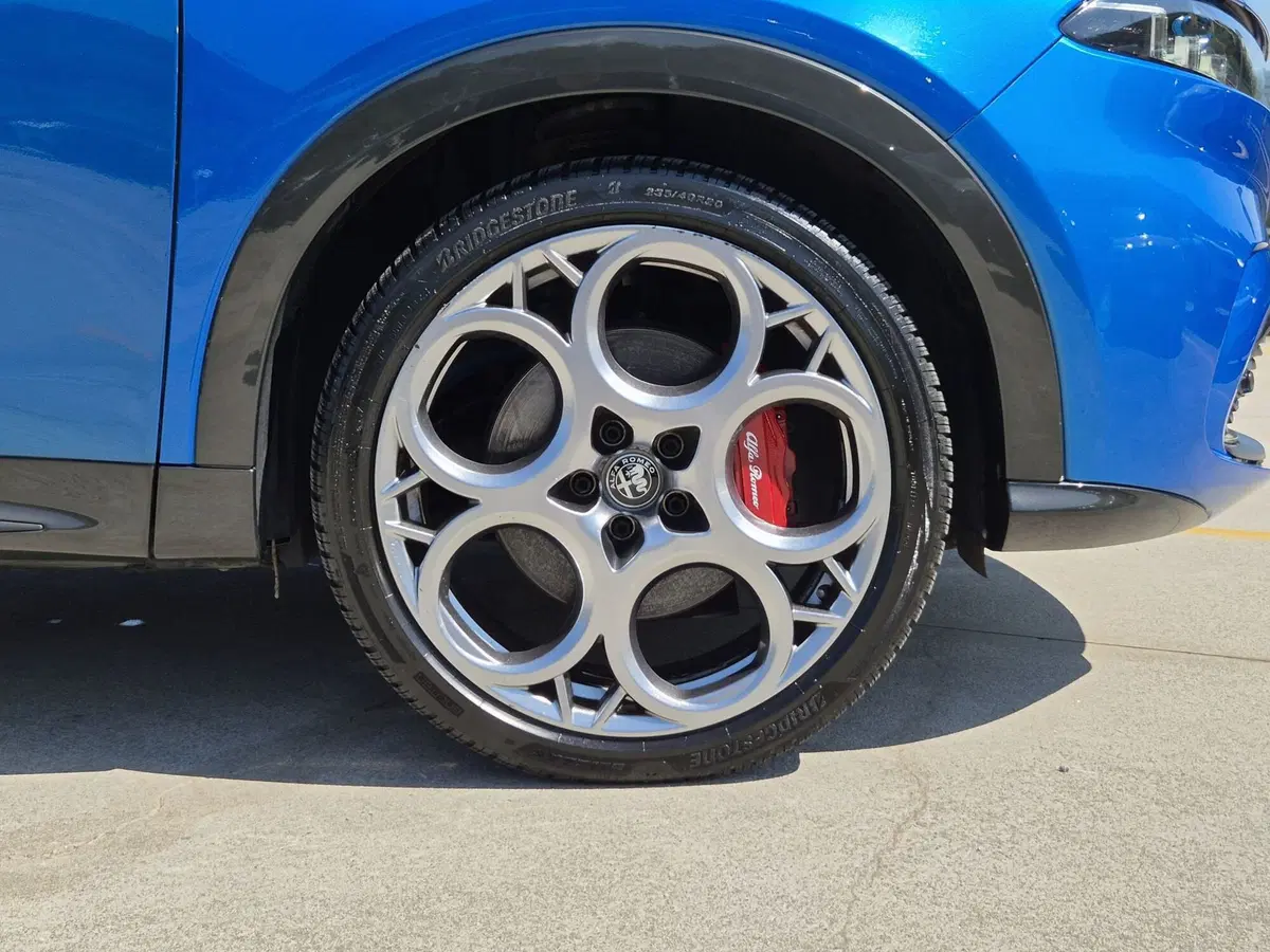 Alfa Romeo Tonale usata  (13)