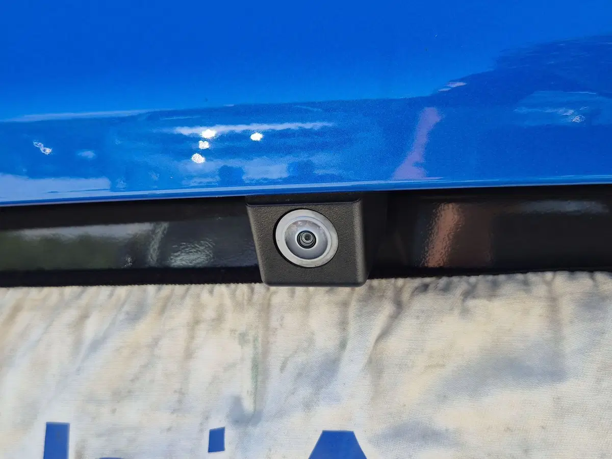 Alfa Romeo Tonale usata  (16)
