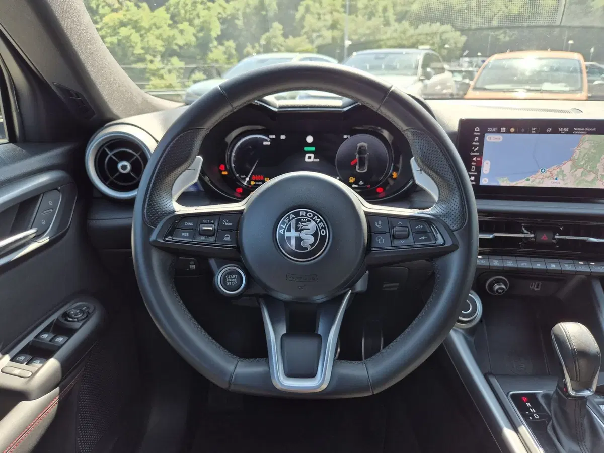Alfa Romeo Tonale usata  (19)