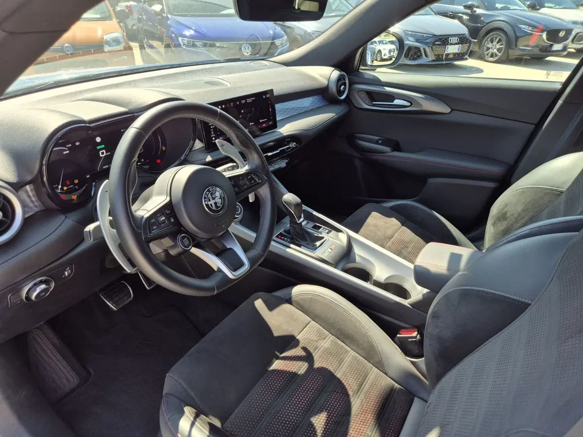Alfa Romeo Tonale usata  (6)