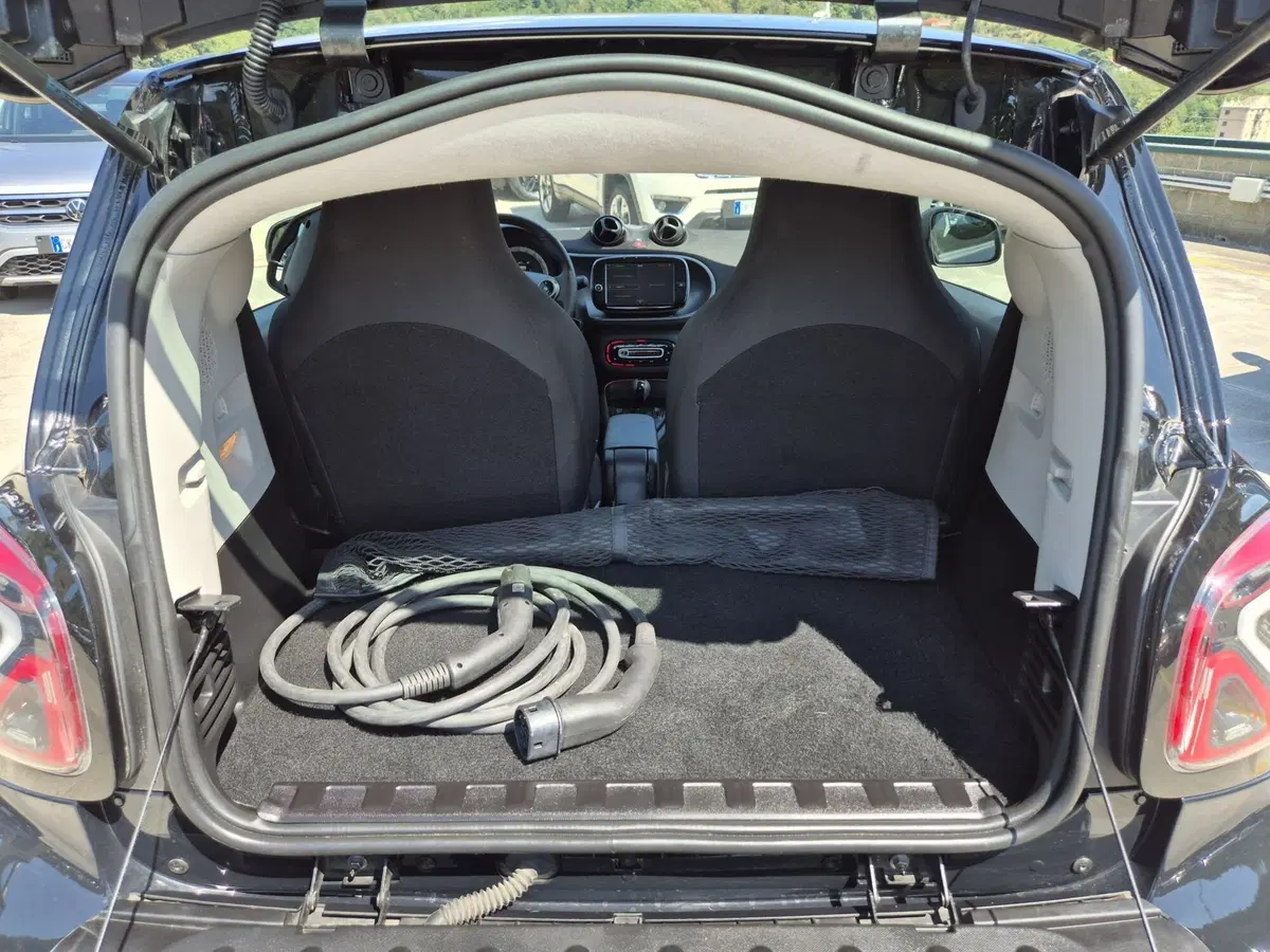 smart Fortwo usata  (10)