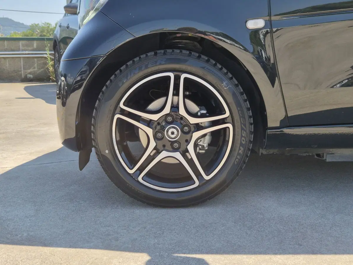 smart Fortwo usata  (11)