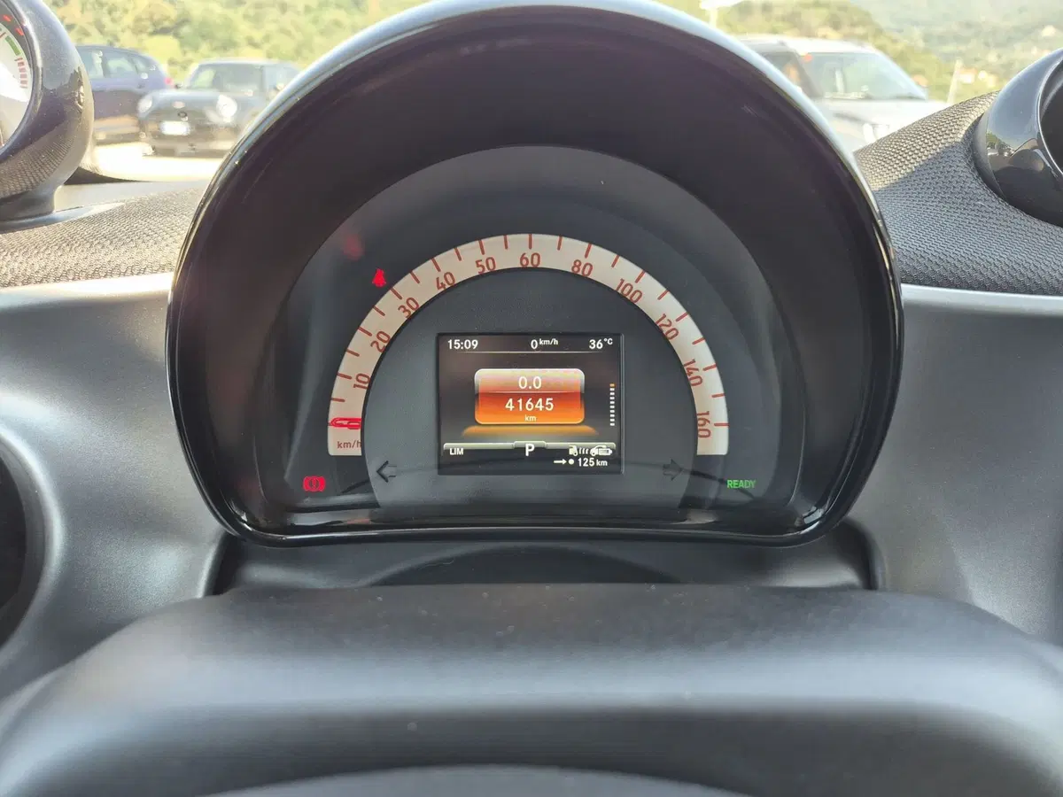 smart Fortwo usata  (12)