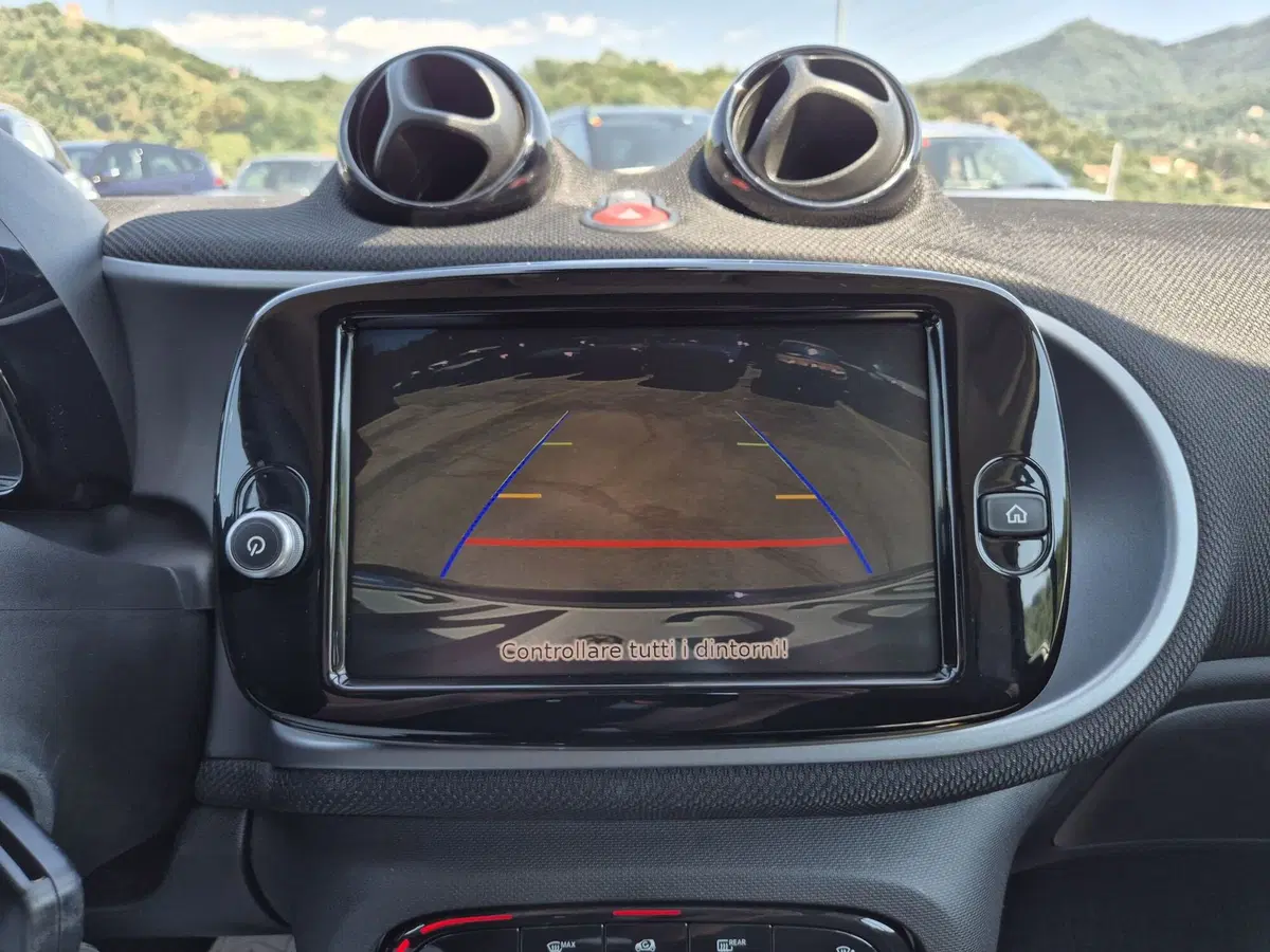 smart Fortwo usata  (13)