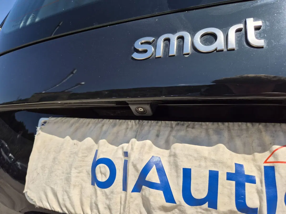 smart Fortwo usata  (14)