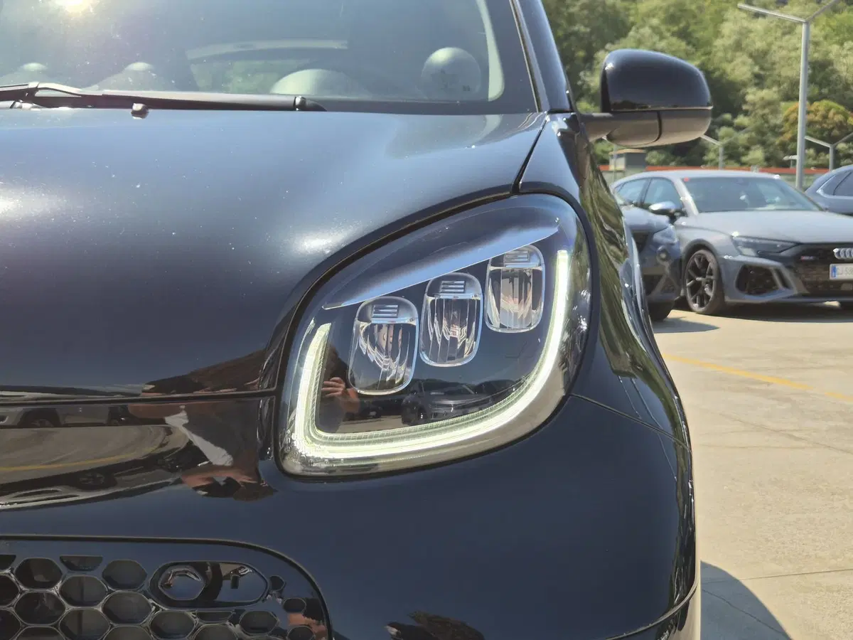 smart Fortwo usata  (15)