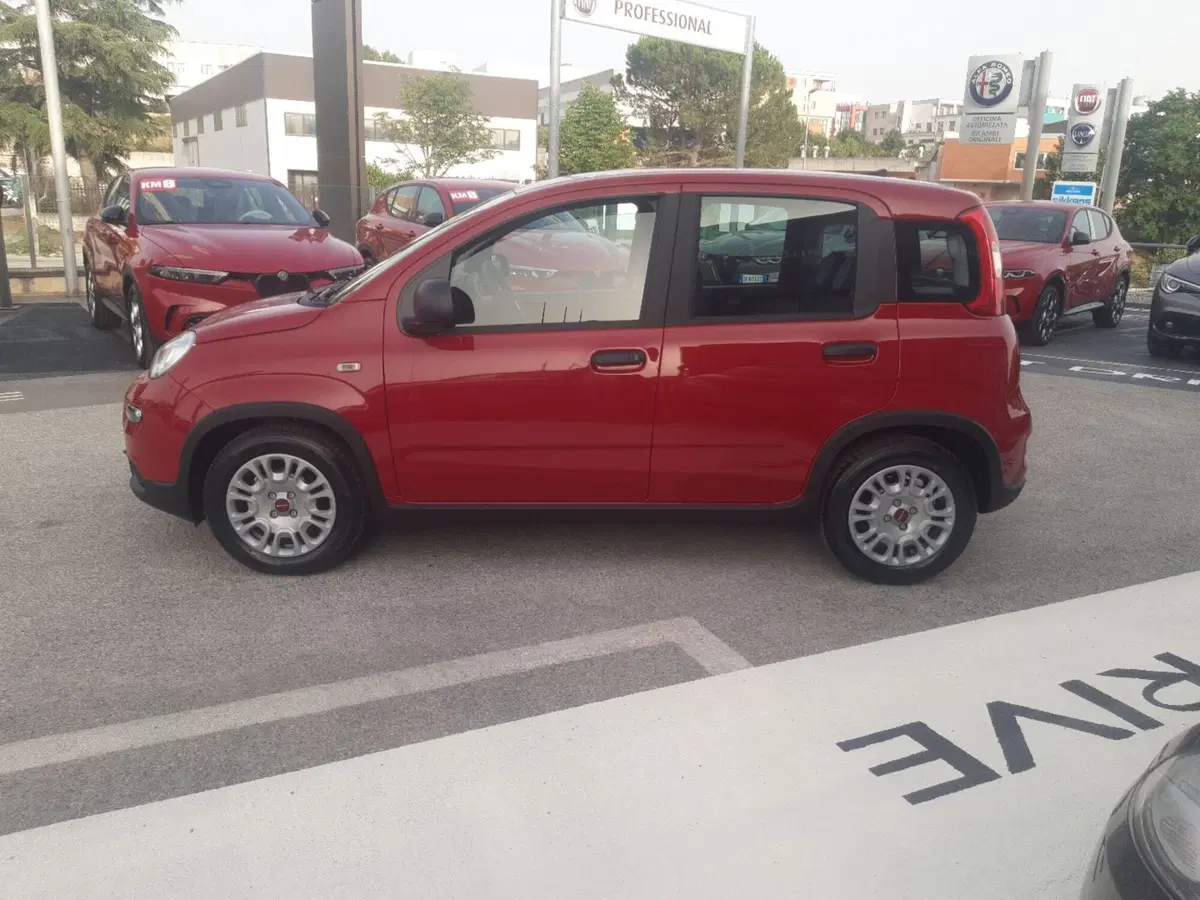 Fiat Panda Cross nuova a Ancona (2)