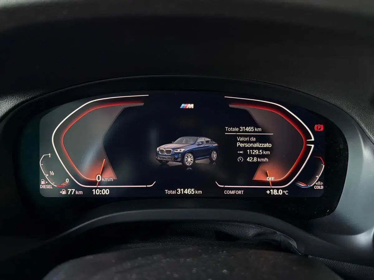 BMW X4 usata a Bergamo (14)