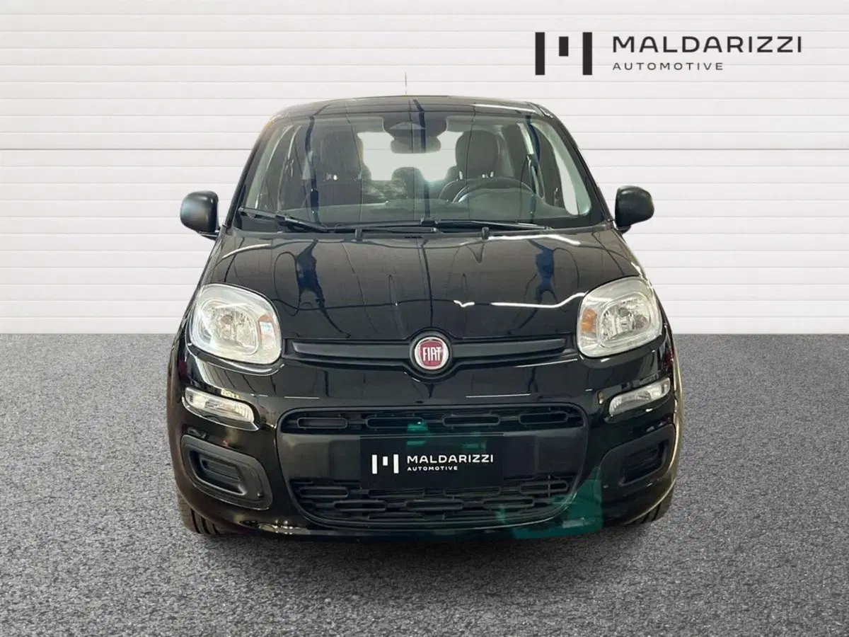 Fiat Pandina usata a Bari (2)