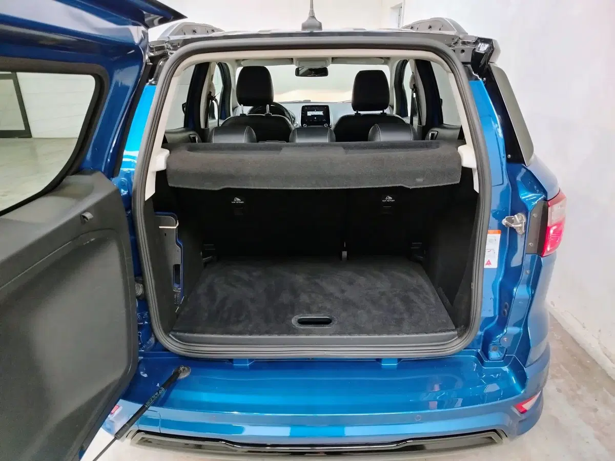 Ford EcoSport usata a Rovigo (11)