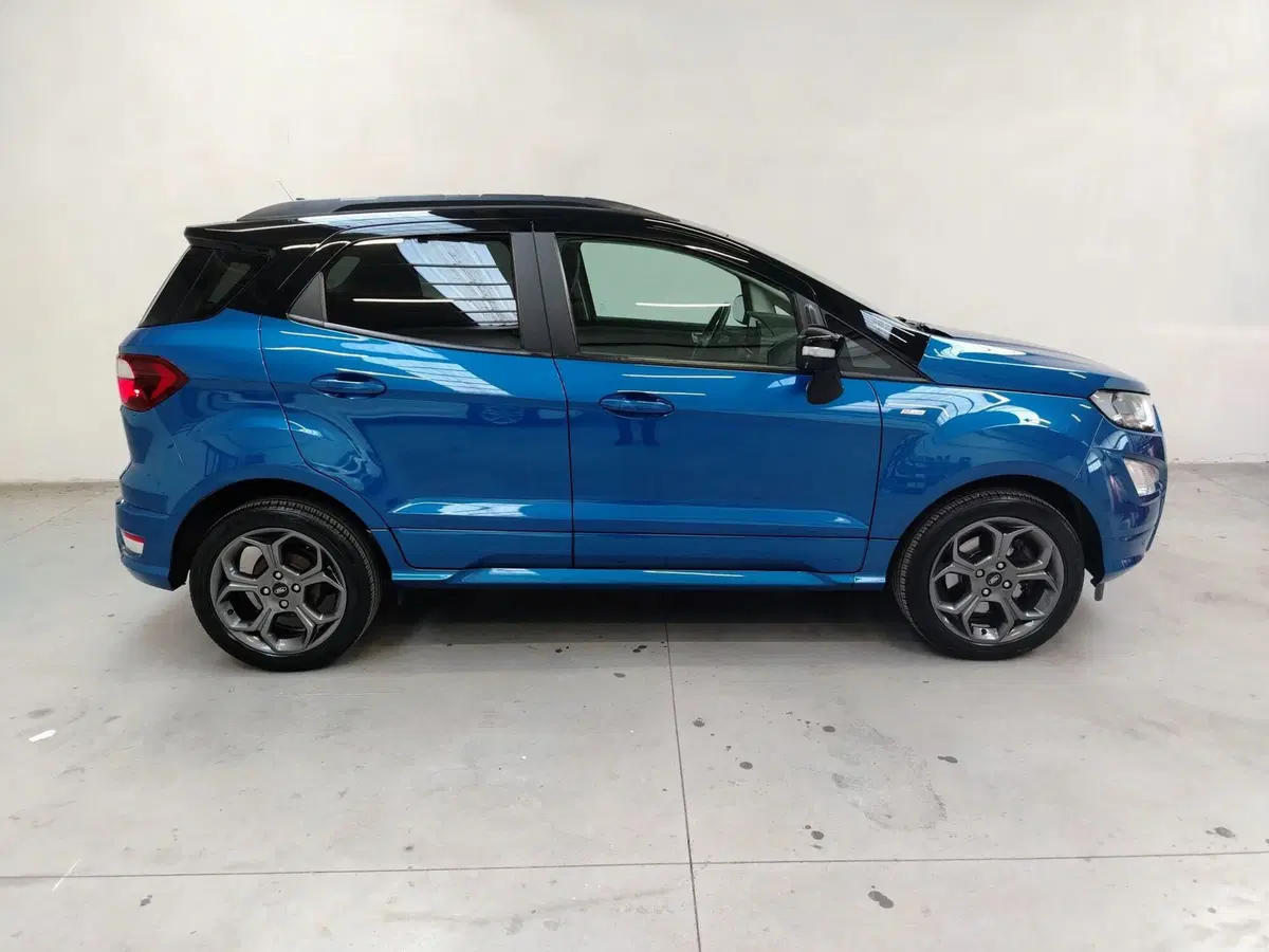 Ford EcoSport usata a Rovigo (13)