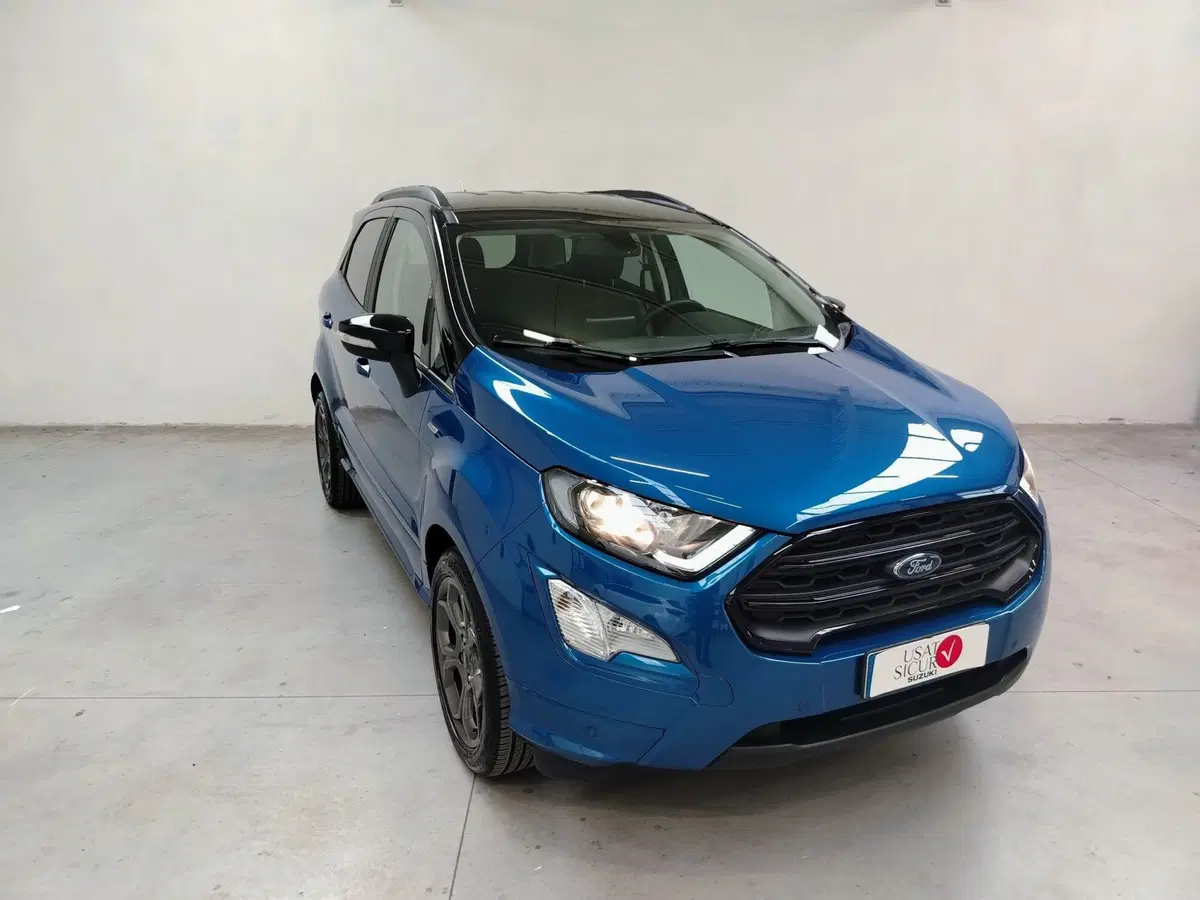 Ford EcoSport usata a Rovigo (2)