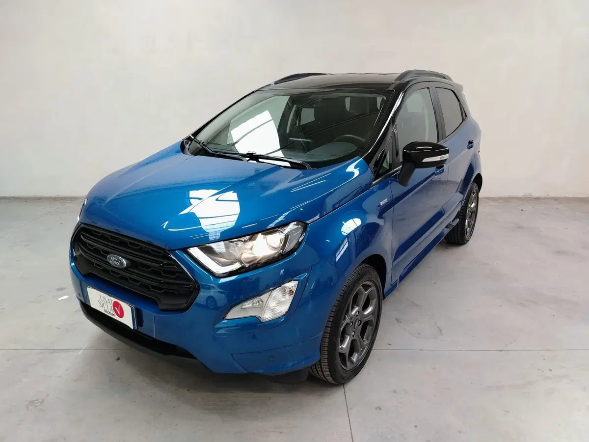 Ford EcoSport usata a Rovigo (4)