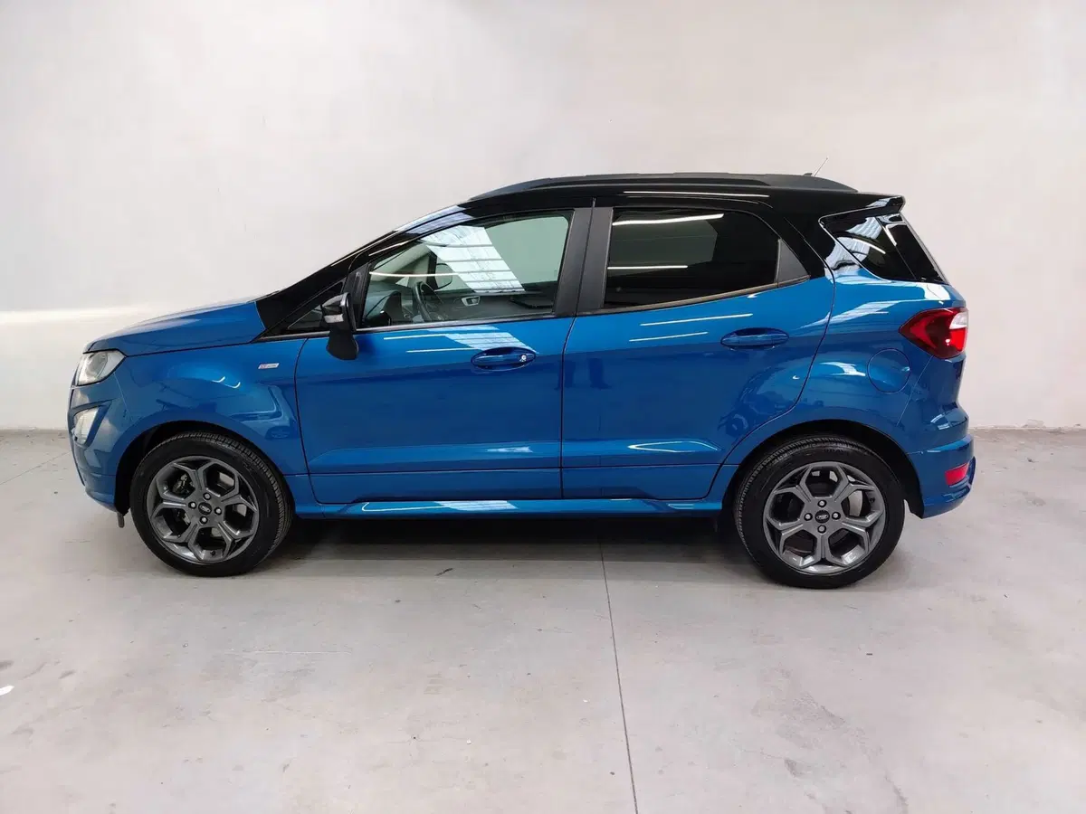 Ford EcoSport usata a Rovigo (5)
