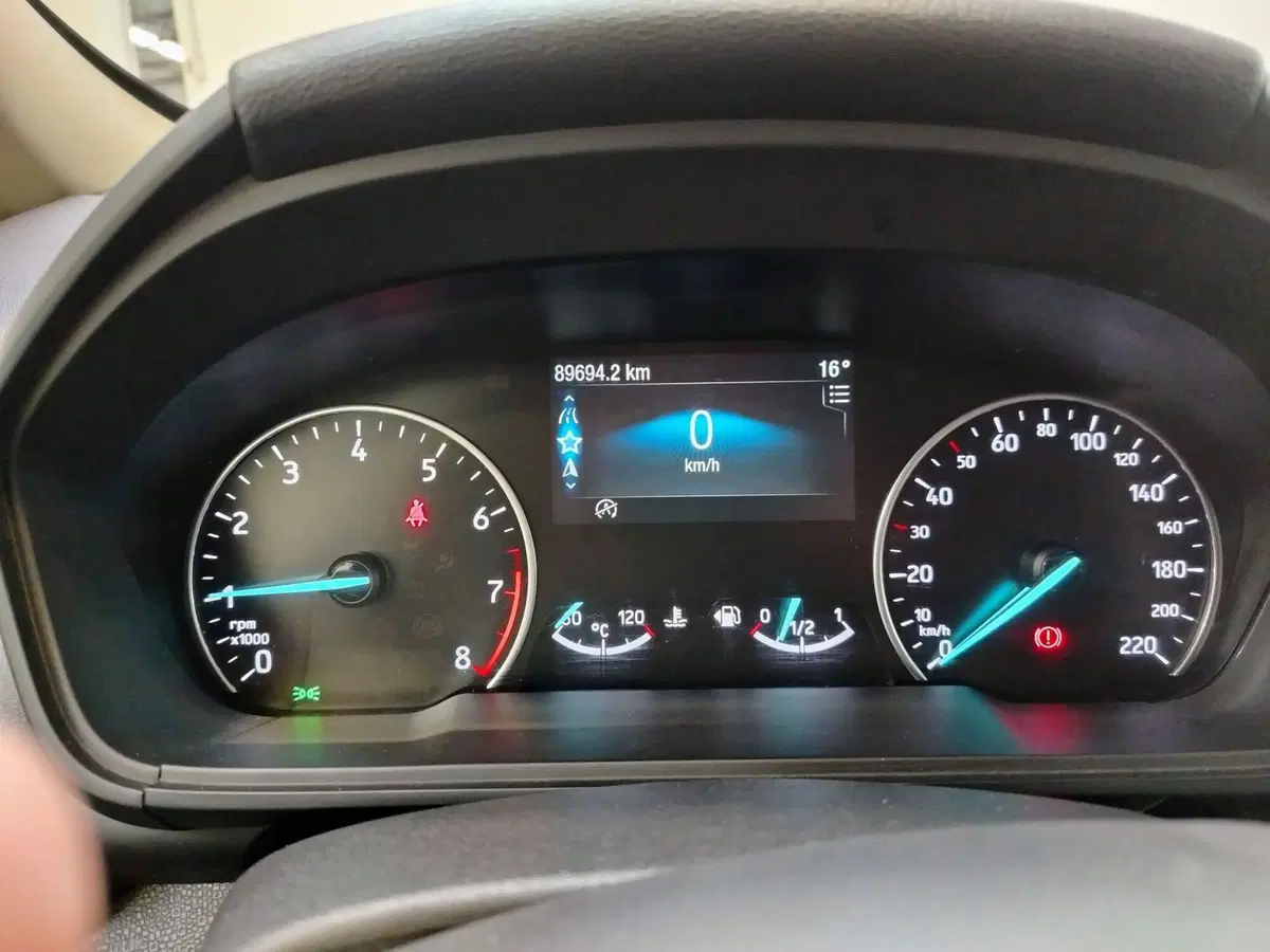 Ford EcoSport usata a Rovigo (6)